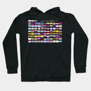 All pride flags in Spanish Hoodie